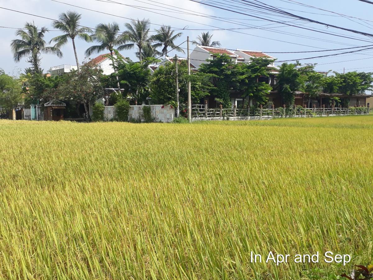 Hoi An Chic - Green Retreat Exterior photo